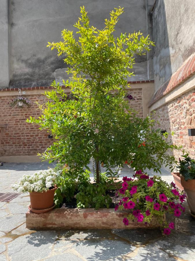Residenza Nikol Appartamento Giulia Casale Monferrato Exterior photo